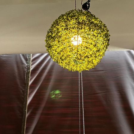 Rukmani Villas Group Of Rukmani Home Stay Mathura Eksteriør bilde